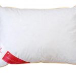 Perna Puf de gâscă Feeling 100 50x70cm