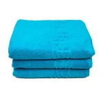 Set 3 Prosoape 70×130 cm Bumbac 500 gr/mp Greek Border Turcoaz - imagine 3