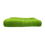 Prosop 70×130 cm Bumbac 500 gr/mp Greek Border Green Anwar - imagine 2