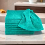 Set 10 Prosoape Bumbac Pieptanat, 30×50cm, 500gr/mp, Greek Border - Verde Inchis